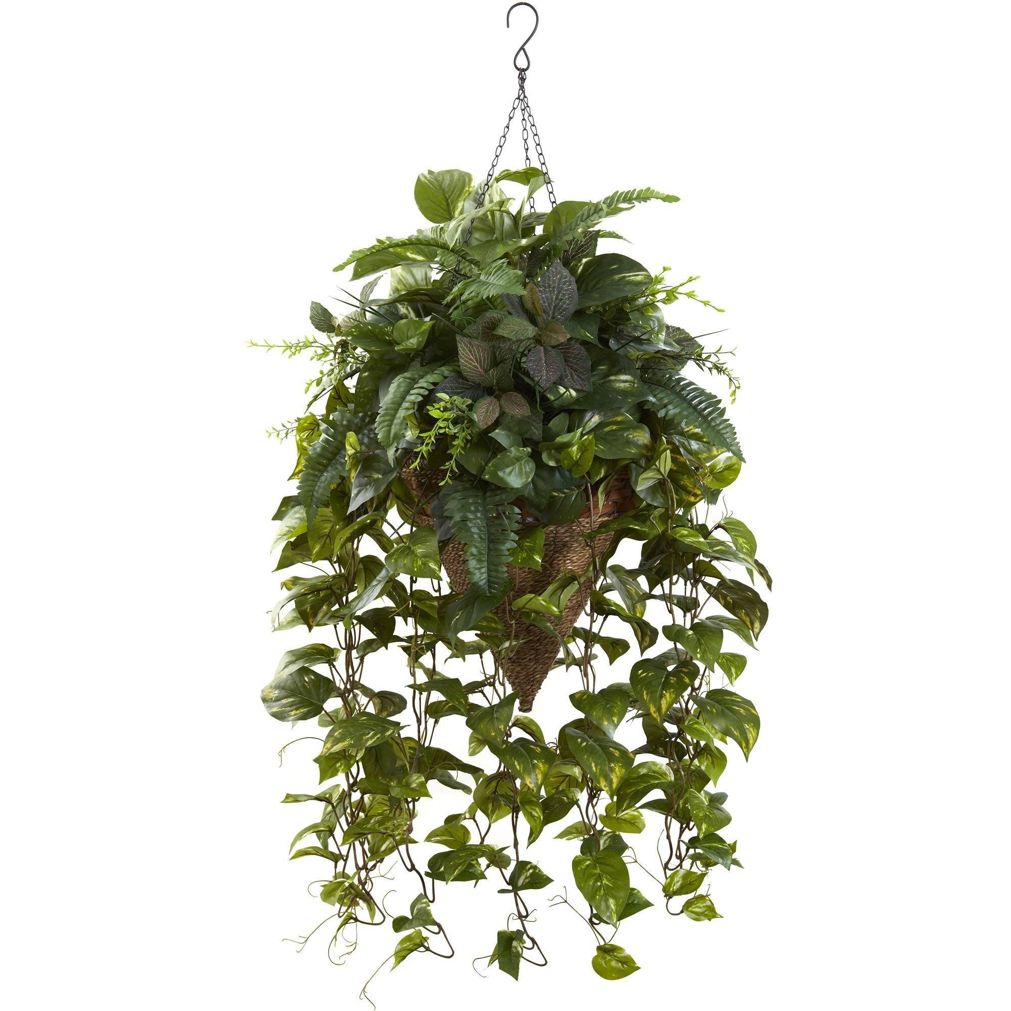 vining hanging plants Nearly Natural Vining Mixed Greens w/Cone Hanging Basket