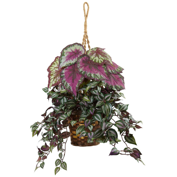 Wandering Jew and Begonia Hanging Basket
