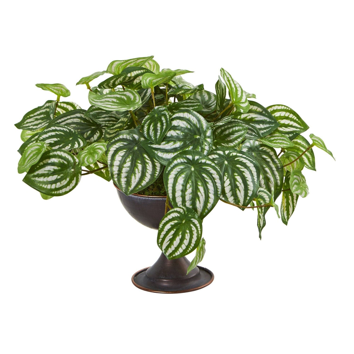 Watermelon Peperomia Artificial Plant in Metal Chalice (Real Touch) (Set of 2)