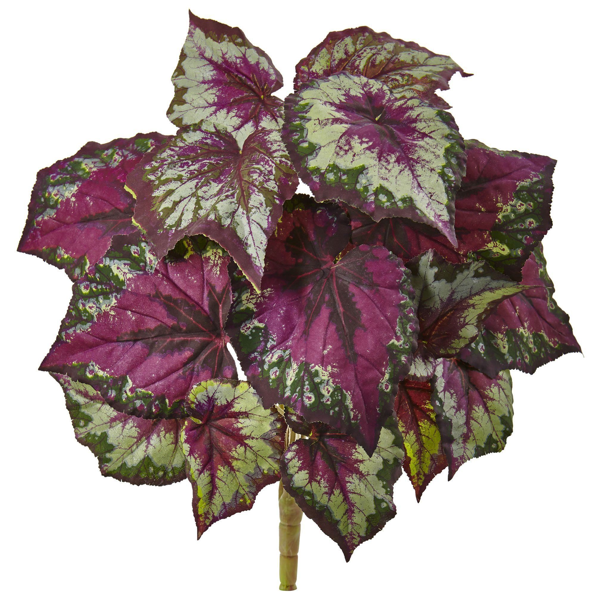 Wax Begonia Bush (Set of 6) | Nearly Natural