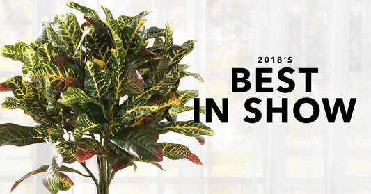 2018's Best In Show of Fake Artificial Plants