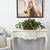 8 Ways to Decorate With Faux Pothos Plants Indoors