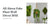 All About Fake Plant Wall Décor 2021