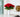 Are Artificial Peonies Worth It?