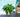 Artificial Bushes: Realistic Greenery for Every Space