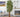 Artificial Plants for Small Spaces: Slim Trees & Vertical Décor Ideas