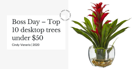 Boss Day – Top 10 desktop trees under $50