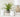 Coastal Tablescape for this Summer