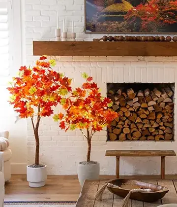 Decorating fall trees