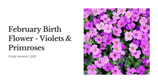 February Birth Flower - Violet and Primrose