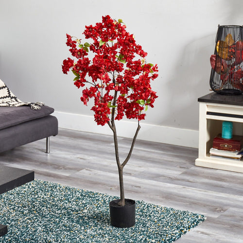 Flowering Trees That Brighten Indoor Spaces for Spring