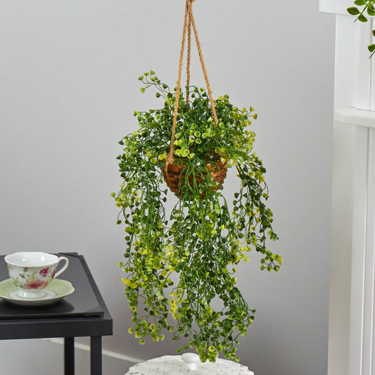 Hanging Planter Ideas Indoor for Fall (2022 Updated)
