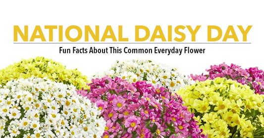 Happy National Daisy Day