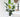 Home Décor Trends 2026: Upgrade Your Space with Faux Plants