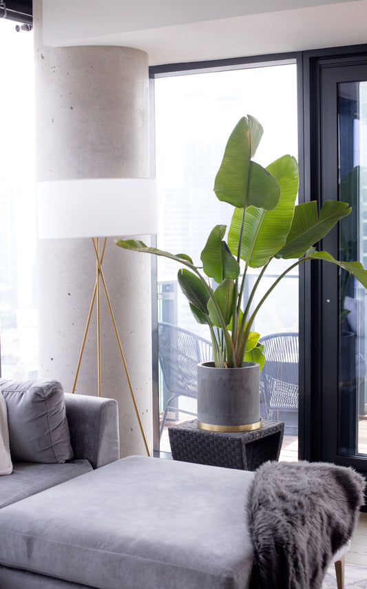 How to Decorate a Small Apartment for Summer Using Artificial Plants
