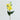 How to Decorate with Stems and Branches