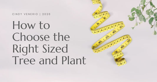 How to Measure for an Artificial Tree or Plant: Size & Style Guide