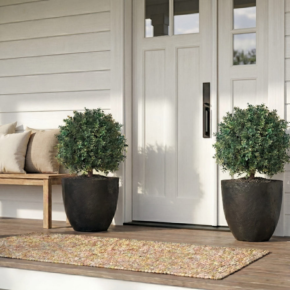 How to Style Boxwood Topiary Trees for Summer Curb Appeal