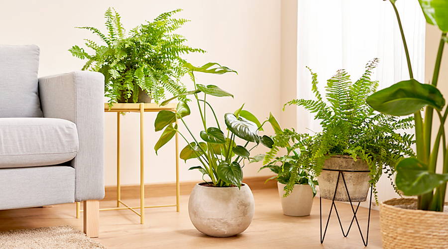 Indoors Home Decor with Artificial Potted Plants