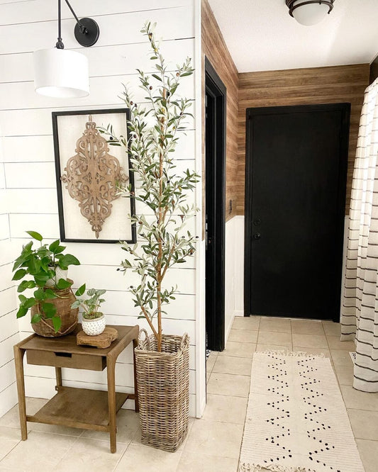 Olive Tree Feng Shui: Balance Energy and Boost Luck