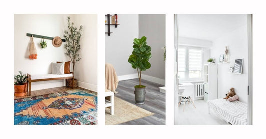 Our Top 10 Products for Minimal Decor + Natural Light