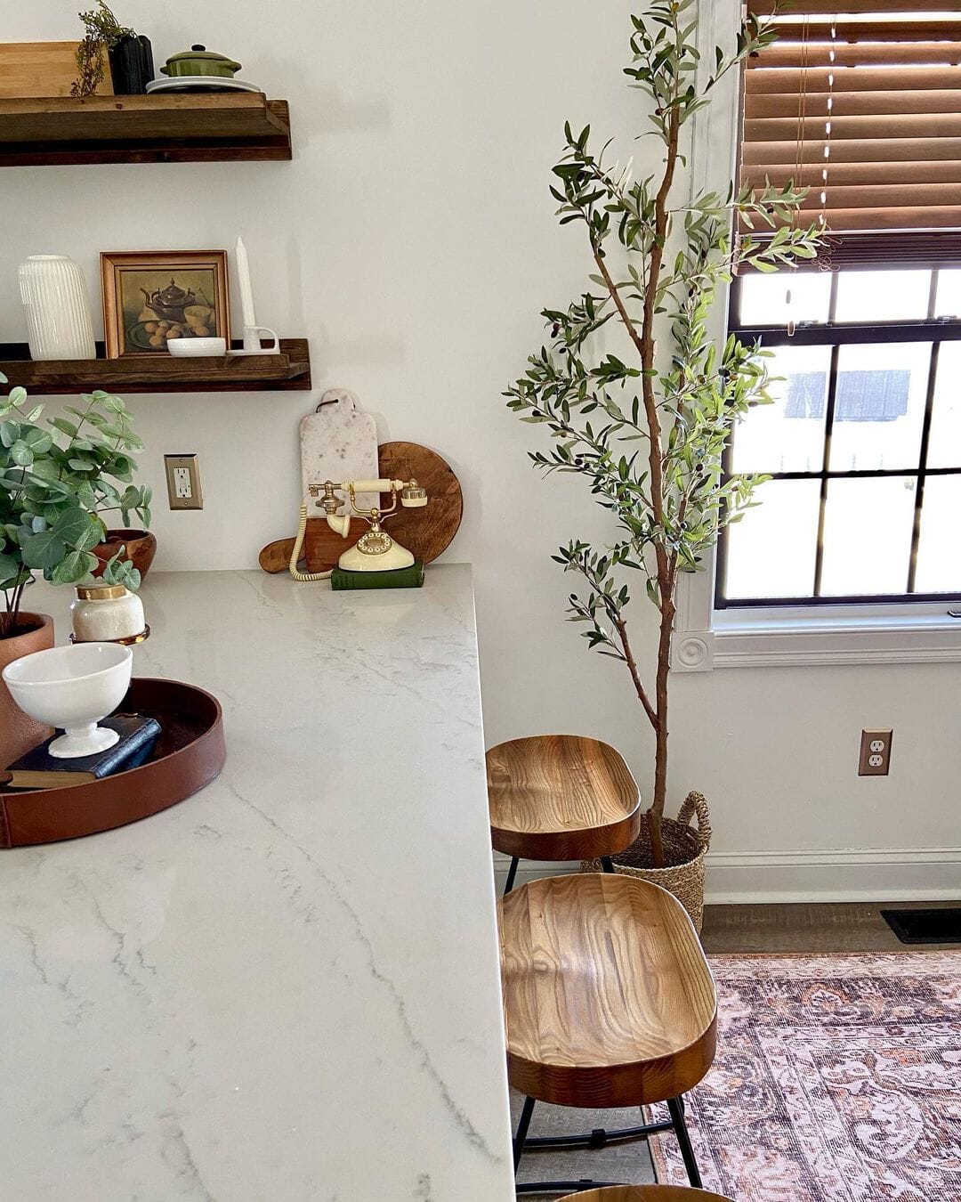 Outdoor Ambiance Indoors: Using Artificial Olive Trees to Create a Gar ...