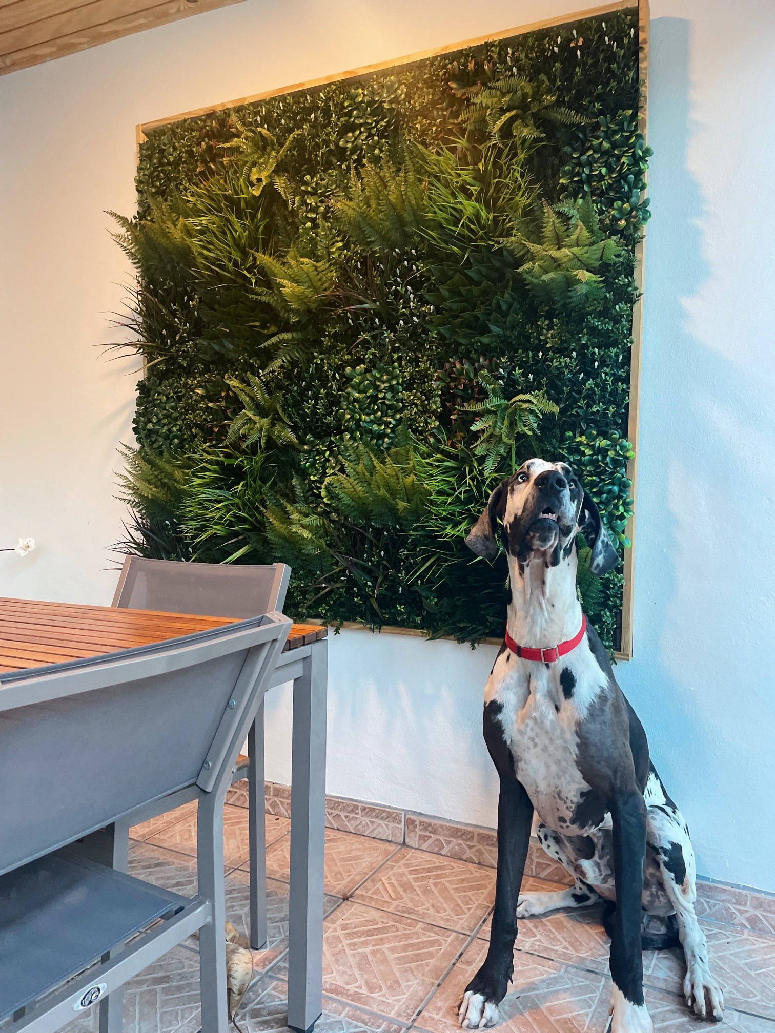 Outdoor and Indoor Spring Wall Decor – Nearly Natural