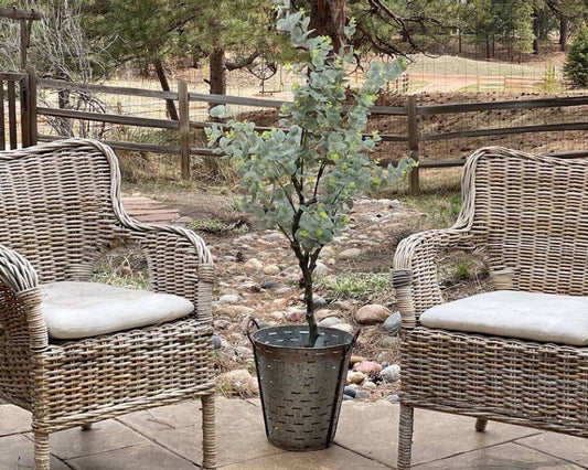 Outdoor Flower Arrangements for Valentine’s Day Garden Gifts