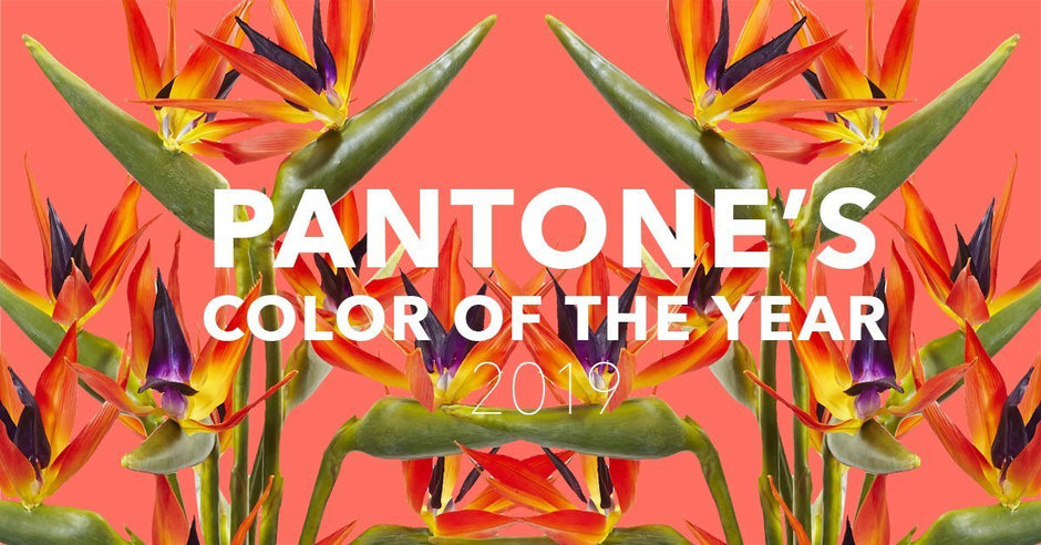 Pantone's Color of the Year