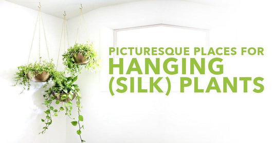 Picturesque Places For Hanging (Silk) Plants