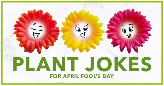 Plant Jokes for April Fool's Day 2020