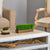 Potted Grass Plants: The Secret to Low-Maintenance Indoor Greenery