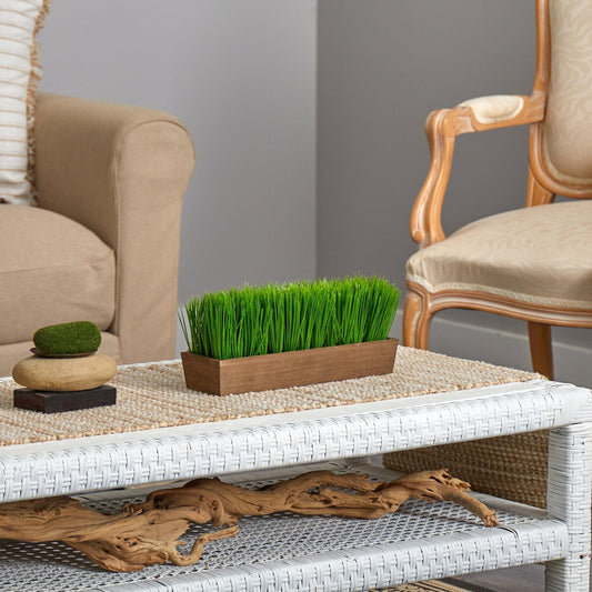 Potted Grass Plants: The Secret to Low-Maintenance Indoor Greenery