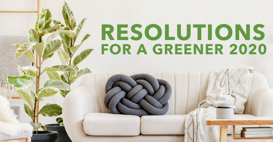 Resolutions For A Greener 2020