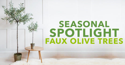 Seasonal Spotlight: Faux Olive Trees