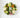 Spring Wreath Trends for 2026