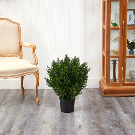 The Best Greenery Bushes for Front Porch Planters