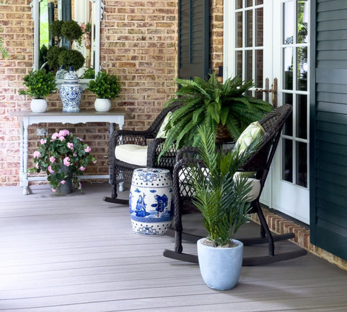 The Magic of UV-Resistant Outdoor Plants for a Carefree Summer