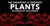 The Spookiest (And Creepiest!) Plants In Honor of Halloween
