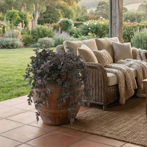 The Top Faux Plants for 2026