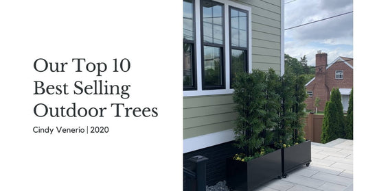 Top 10 Outdoor Trees