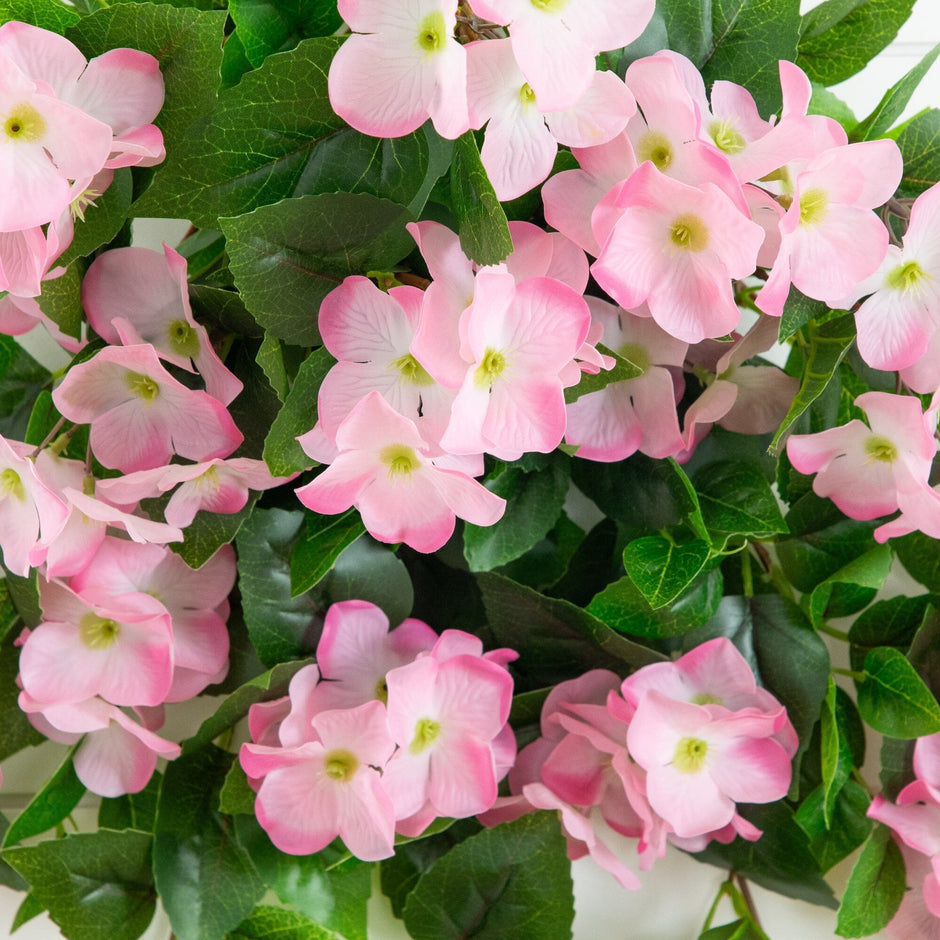 Valentine’s Flower Ideas That Last