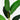 5’ Traveler's Palm Artificial Tree