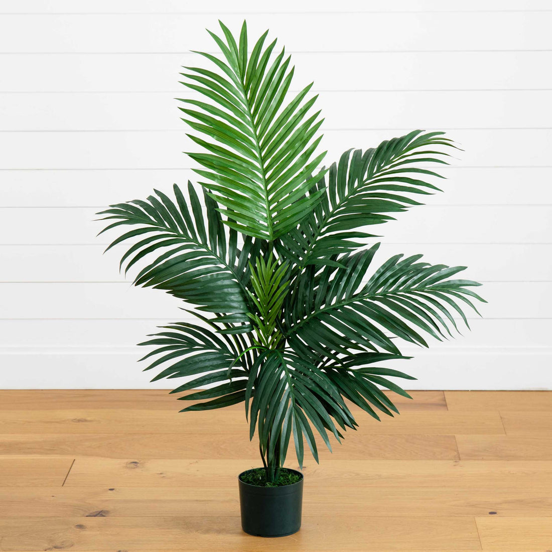 little palm plant 4' Faux Kentia Palm Silk Tree