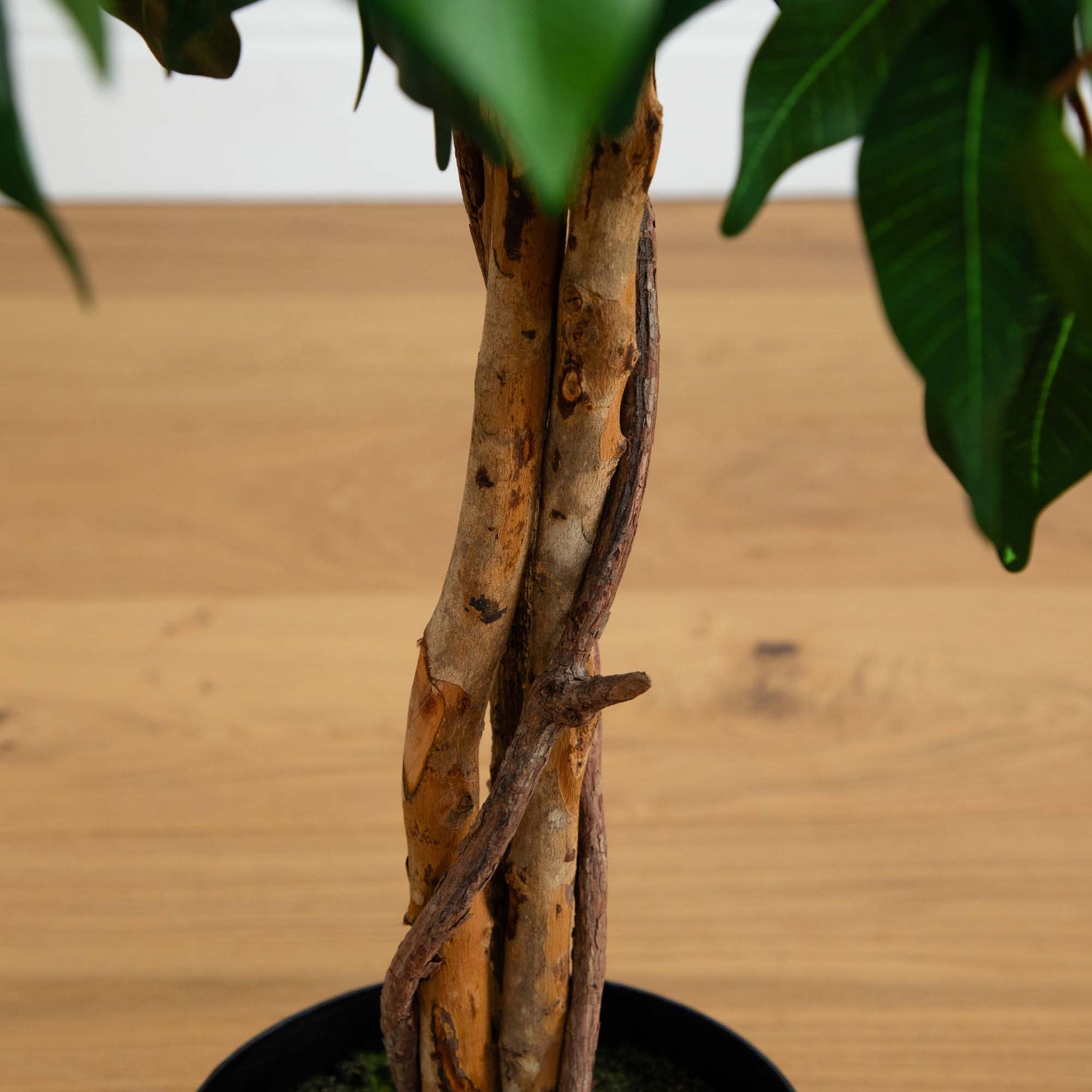 4' Ficus Auriculata Artificial Silk Tree