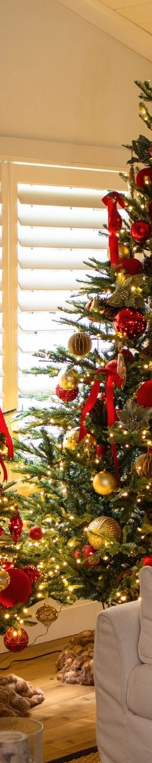 Enchanting Christmas Trees