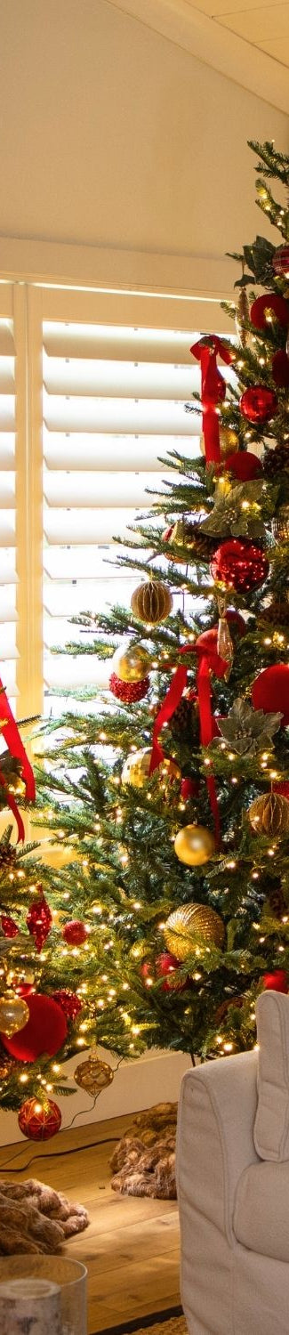 Enchanting Christmas Trees