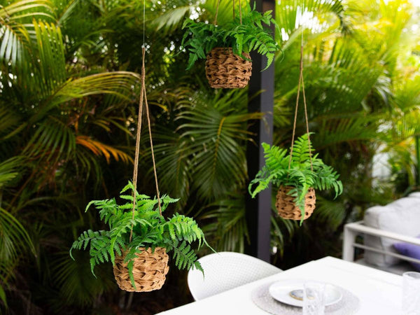 nearly natural 6542 3 zebra silk plant in pot 3' Zebra Silk Plant