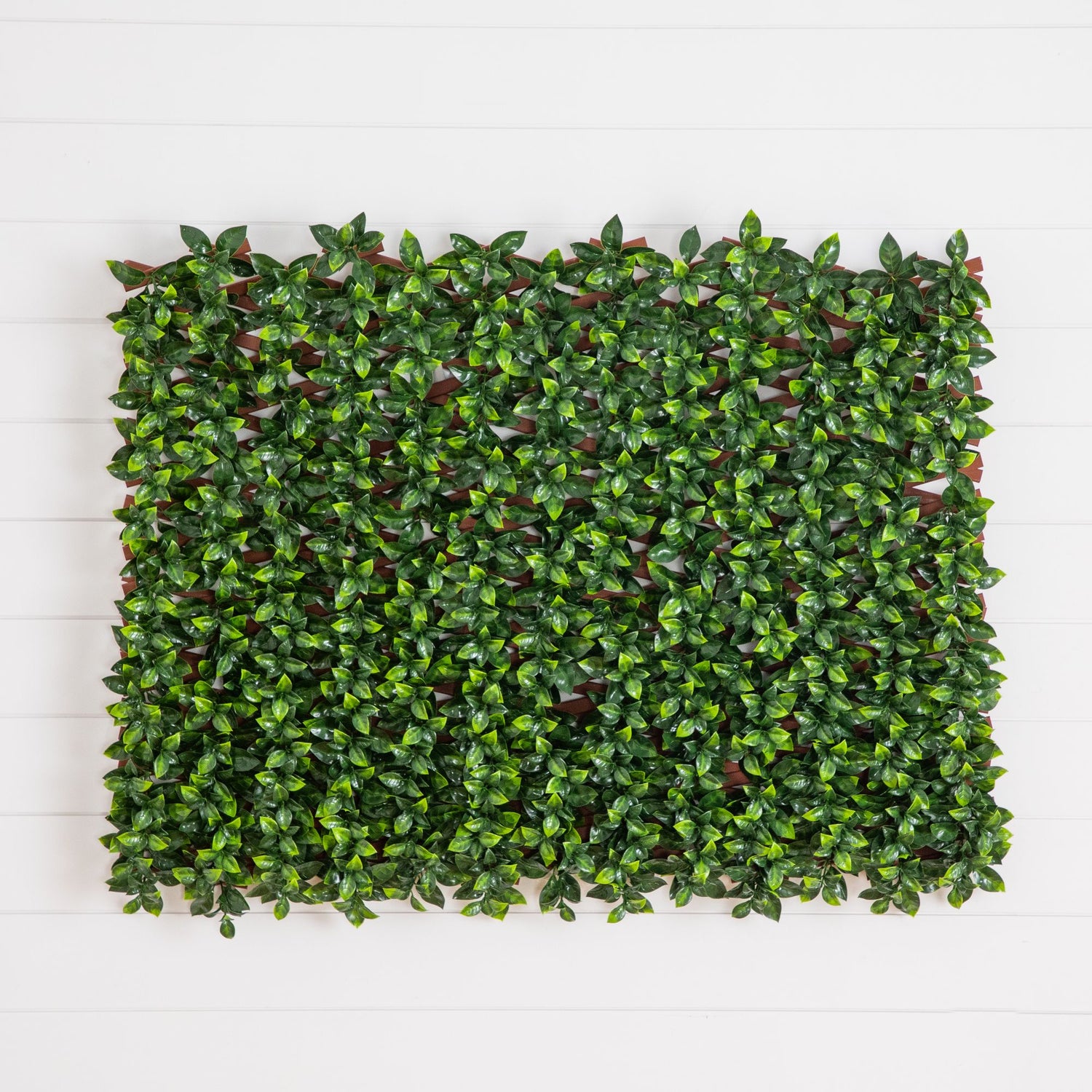 36” x 72" UV Resistant Artificial Gardenia Expandable Privacy Fence Screen (Indoor/Outdoor)