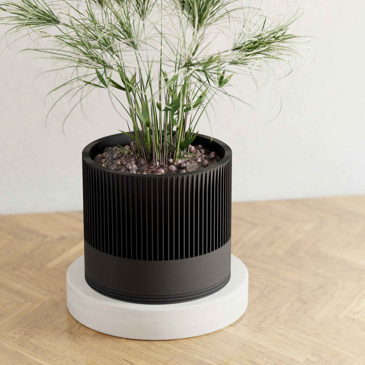 Sakura Planter